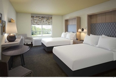 Wyndham Flint MI/Grand Blanc/Bishop Airport/Conference Ct