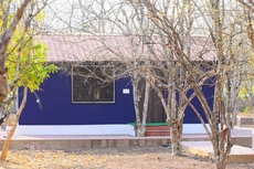 Matoshree green stay sariska