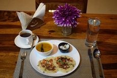 Matoshree green stay sariska