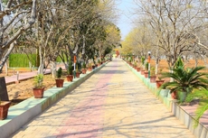 Matoshree green stay sariska