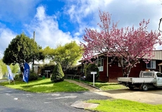 Jenolan Holiday Park - Campsite