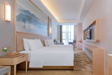 Vienna International Hotel (Nan County Dashijie)