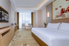 Vienna International Hotel (Nan County Dashijie)