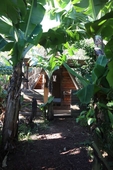 Banana Eco Camp