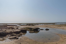 RedDoorz near Pantai Ujung Genteng