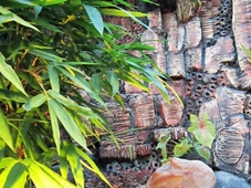 Parai City Garden Hotel - Sawahlunto