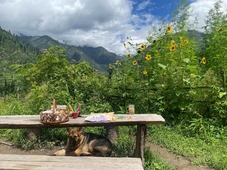 Zevibes Cafe & Guesthouse