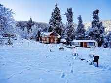 Zevibes Cafe & Guesthouse