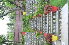 Prashanti Farms and Resort