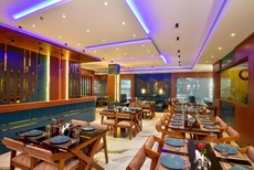 Hotel Dain Castle, Varkala