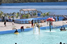 The Tiger Paradise Resort