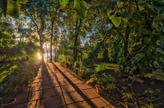 Kolar Jungle Retreat