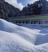 Chopta Himrab Resort