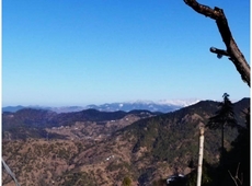 Splendid view Eco orchard Resort