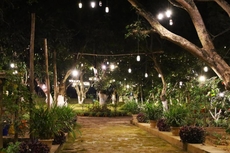 Bastar Greens Eco Stays