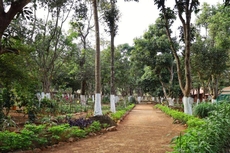 Bastar Greens Eco Stays