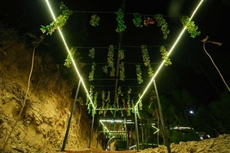 Dhara(Doorway to Inner Peace)