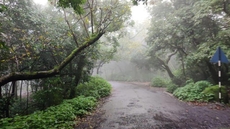 Green Meadows Farm Stay