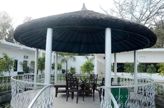 DTR Jungle Hideaways