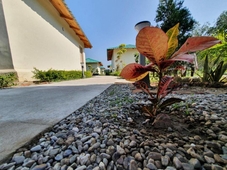 The tiger claw resort