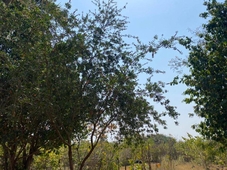 The Palash Vann - Deluxe Rooms 