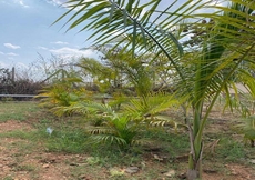 The Palash Vann - Deluxe Rooms 