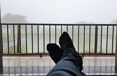 The Forest Leaf Nature and Agro Tourism 