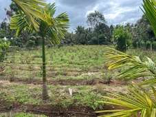 River House Farmstay