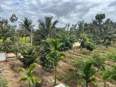 River House Farmstay