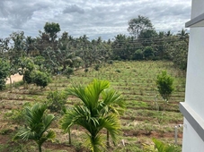 River House Farmstay