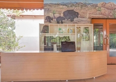Hampi Heritage and Wilderness Resort - Junglelodges