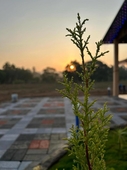 Yashovana Nature Stay Gokarna