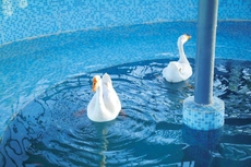 The Kerala Village, Shahapur