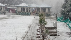 Blossom Bliss Resort, Mukteshwar Road