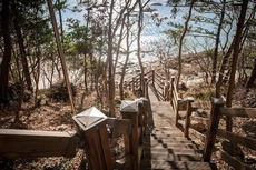 Wando Oneness Resort