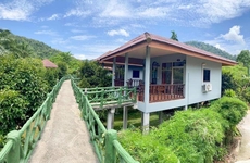 Khaosok Bamboo Huts Resort