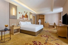 Vienna International Hotel (Bijie Dafang Branch)