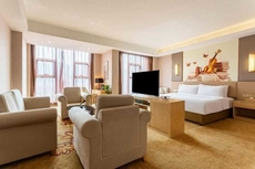 Vienna International Hotel (Bijie Dafang Branch)