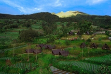 Kema Merbabu