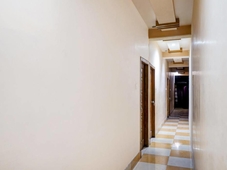 Collection O Star International