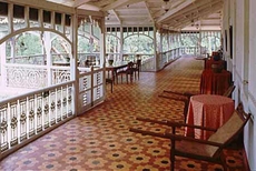 Dune Barr House - Verandah in the Forest