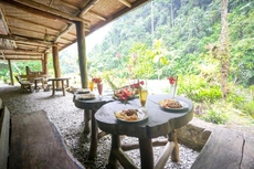 Back to nature ecotourism