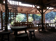 Back to nature ecotourism