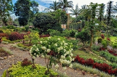 Green Paradise Pagar Alam Resort Mitra RedDoorz