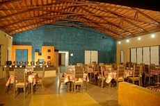 The Celebration Van Vilas