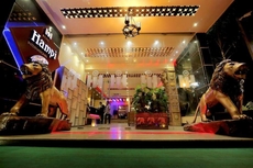 Hotel Hampi International