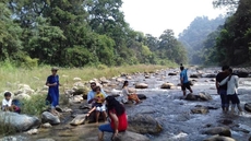 Camp Hornbill Corbett