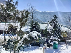 Apple Valley Cottages