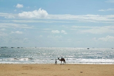 Malpe Sea Front Cottage