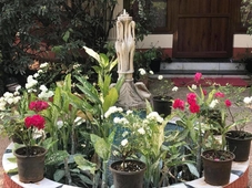 Malpe Sea Front Cottage